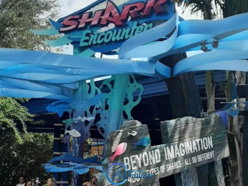 Shark Encounter SeaWorld