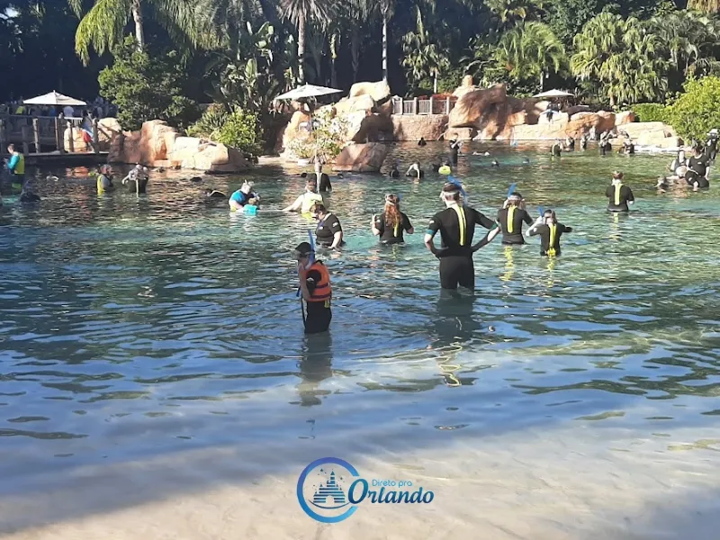 Discovery Cove, o parque das águas frias