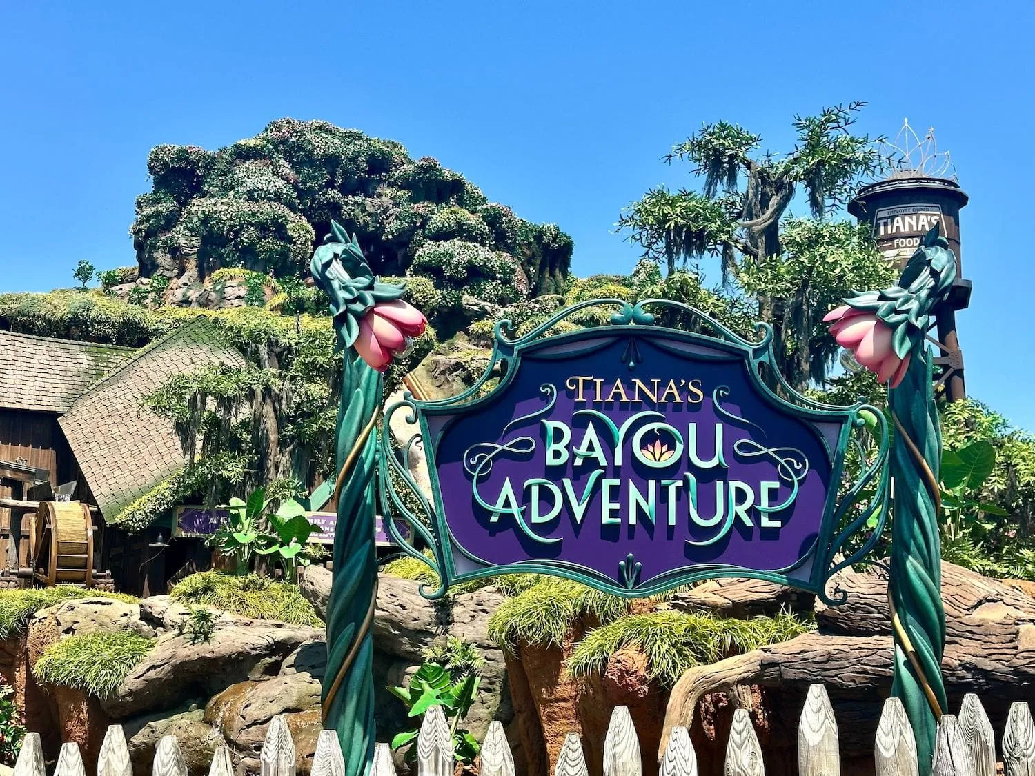 Tiana’s Bayou Adventure