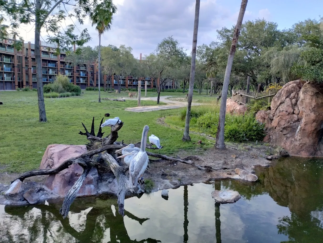 Boma, localizado no Animal Kingdom Lodge